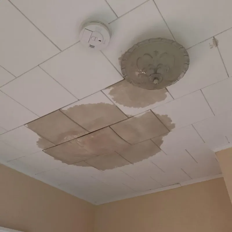 Ceiling Water Damage Repair in Solvay, NY