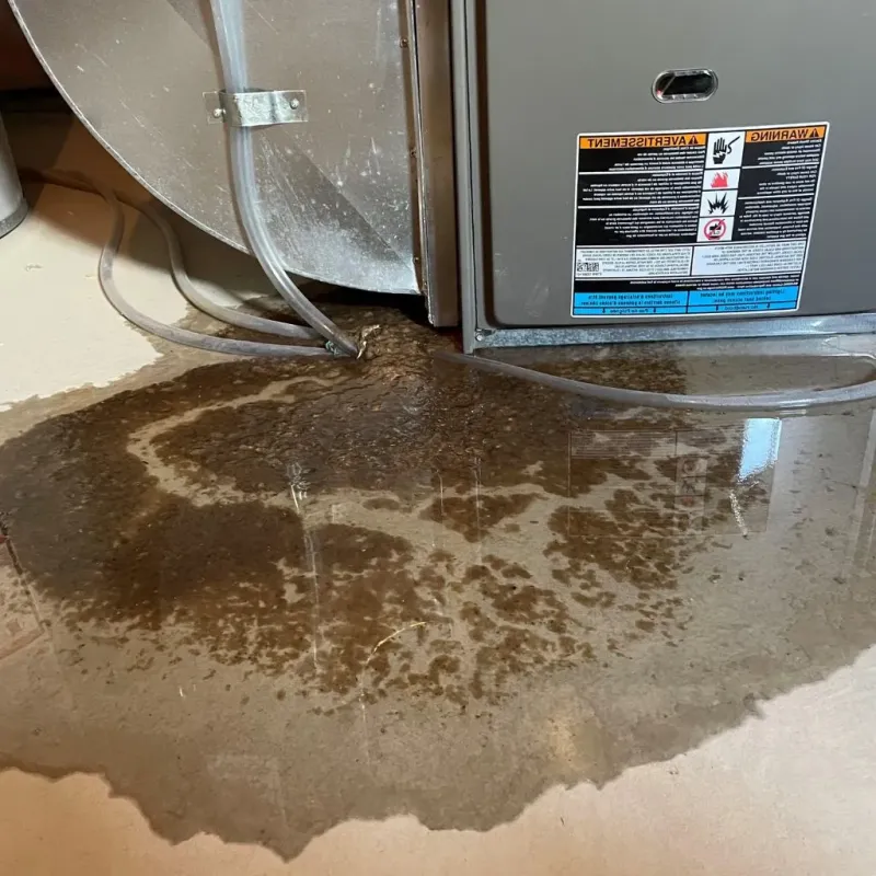 Pipe Burst and Leak Restoration in Solvay, NY